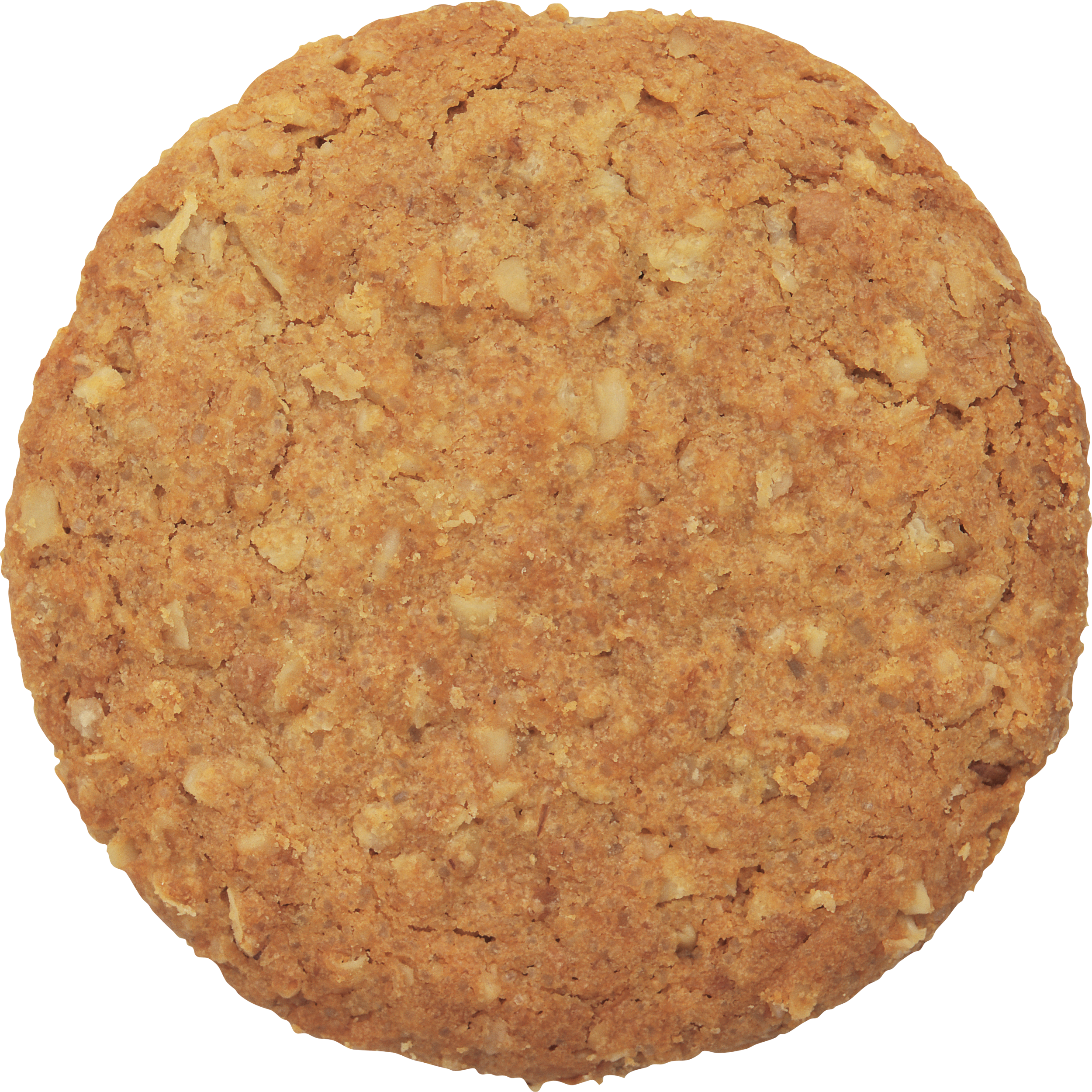 png of an oatmeal cookie
