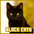 a 50x50 image of a black cat
